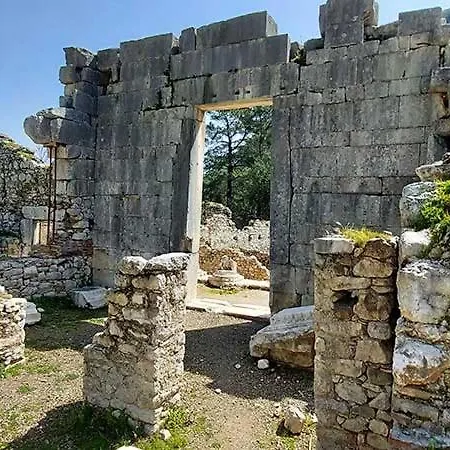 Bayrams Tree Olympos