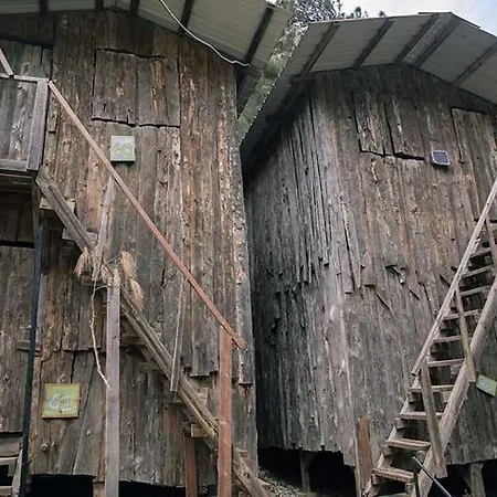 Bayrams Tree Hotel