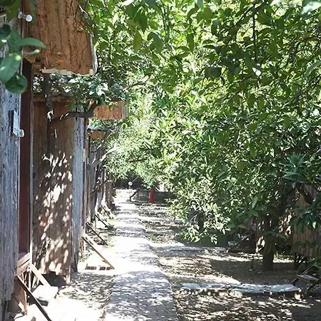 Bayrams Tree Szálloda 2*